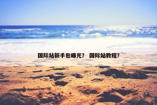 国际站新手包曝光？ 国际站教程？