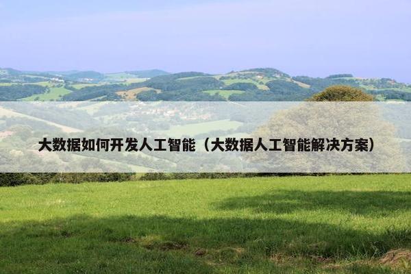 大数据如何开发人工智能（大数据人工智能解决方案）