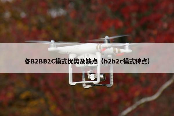 各B2BB2C模式优势及缺点（b2b2c模式特点）