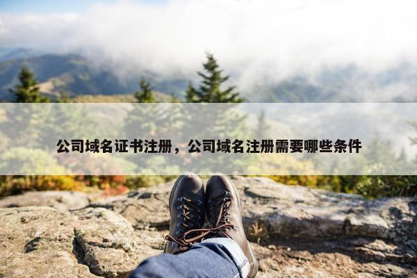 公司域名证书注册，公司域名注册需要哪些条件