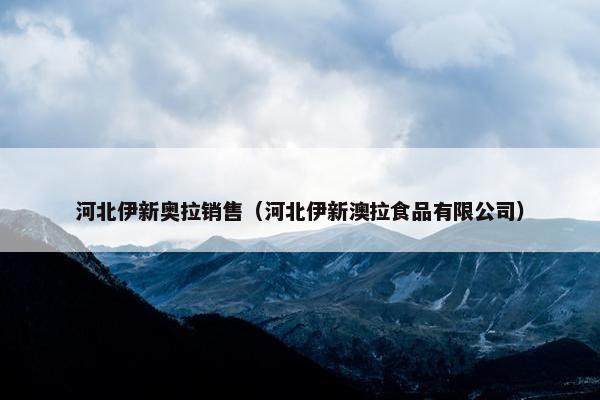 河北伊新奥拉销售（河北伊新澳拉食品有限公司）