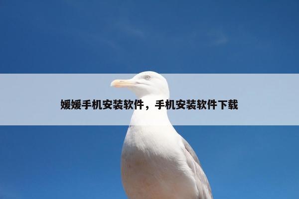 媛媛手机安装软件，手机安装软件下载