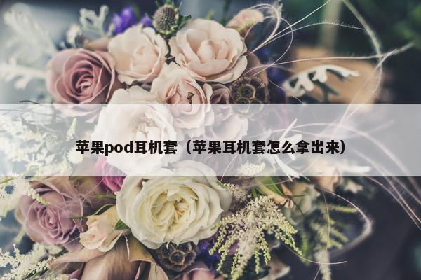 苹果pod耳机套（苹果耳机套怎么拿出来）