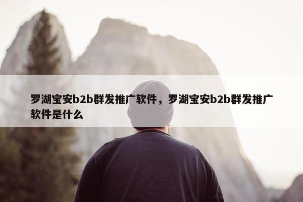 罗湖宝安b2b群发推广软件，罗湖宝安b2b群发推广软件是什么