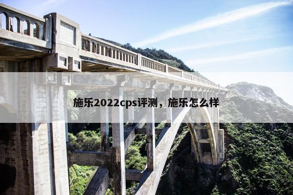 施乐2022cps评测，施乐怎么样