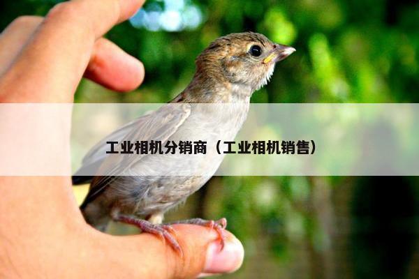 工业相机分销商（工业相机销售）