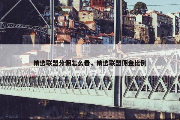 精选联盟分佣怎么看，精选联盟佣金比例