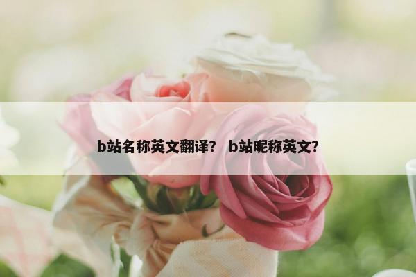 b站名称英文翻译？ b站昵称英文？