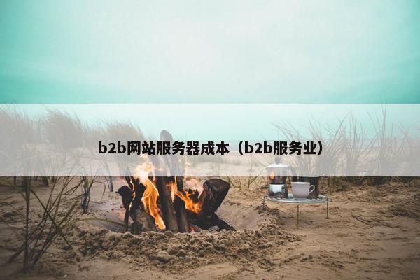 b2b网站服务器成本（b2b服务业）