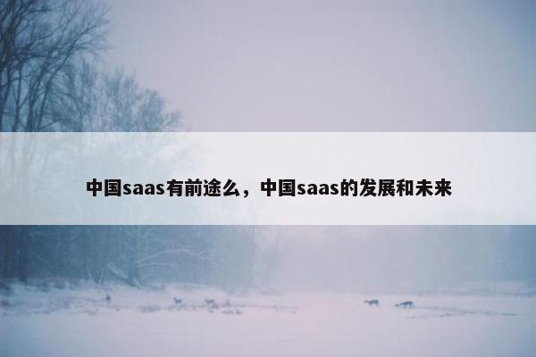 中国saas有前途么，中国saas的发展和未来