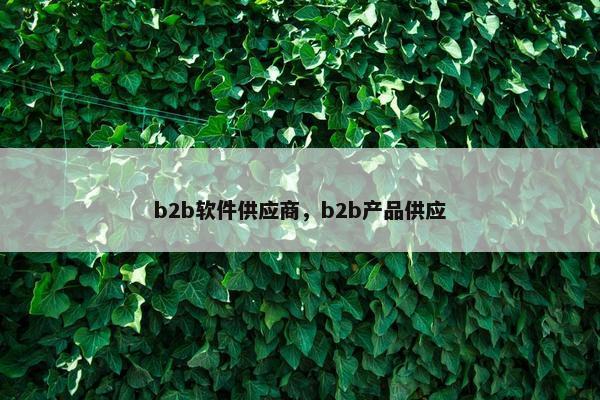b2b软件供应商，b2b产品供应