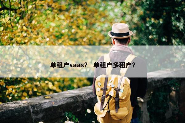 单租户saas？ 单租户多租户？