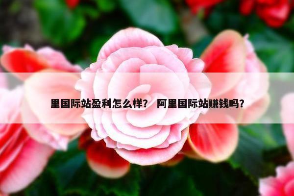 里国际站盈利怎么样？ 阿里国际站赚钱吗？