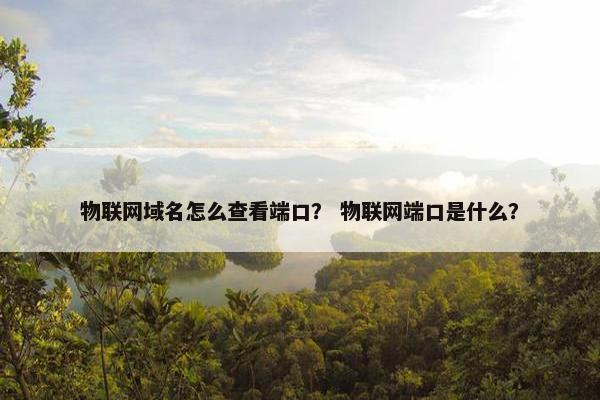 物联网域名怎么查看端口？ 物联网端口是什么？