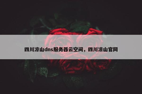 四川凉山dns服务器云空间，四川凉山官网
