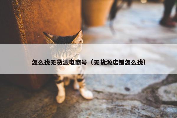怎么找无货源电商号（无货源店铺怎么找）