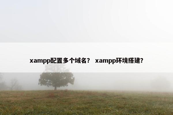 xampp配置多个域名？ xampp环境搭建？