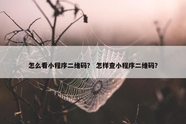 怎么看小程序二维码？ 怎样查小程序二维码？