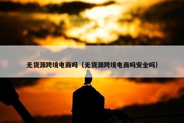 无货源跨境电商吗（无货源跨境电商吗安全吗）