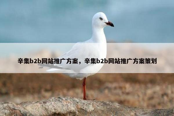 辛集b2b网站推广方案，辛集b2b网站推广方案策划