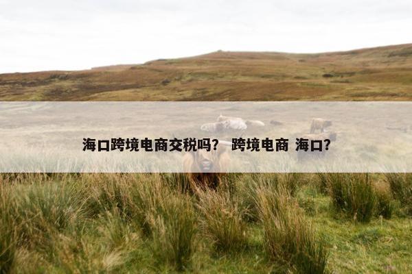 海口跨境电商交税吗？ 跨境电商 海口？