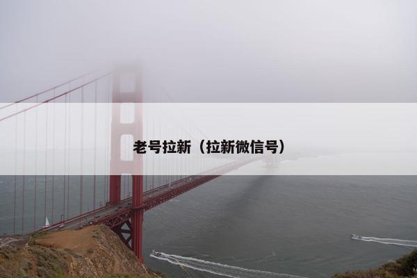 老号拉新（拉新微信号）