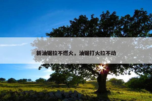 新油锯拉不燃火，油锯打火拉不动