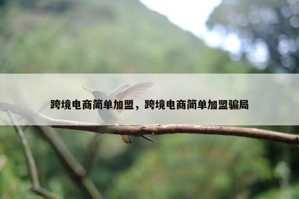 跨境电商简单加盟，跨境电商简单加盟骗局