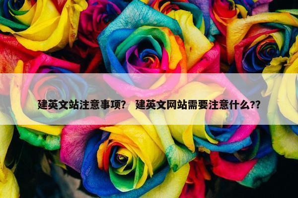 建英文站注意事项？ 建英文网站需要注意什么?？