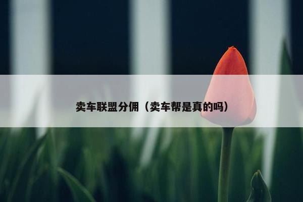 卖车联盟分佣（卖车帮是真的吗）