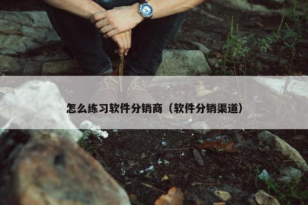 怎么练习软件分销商（软件分销渠道）