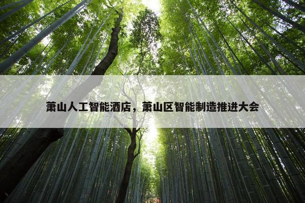 萧山人工智能酒店，萧山区智能制造推进大会