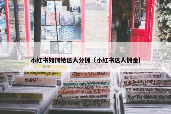小红书如何给达人分佣（小红书达人佣金）