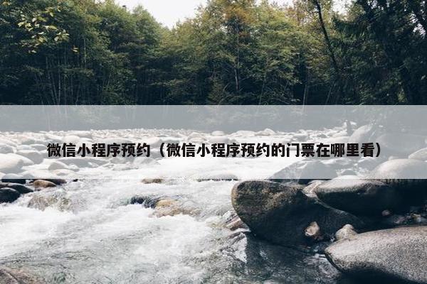 微信小程序预约（微信小程序预约的门票在哪里看）