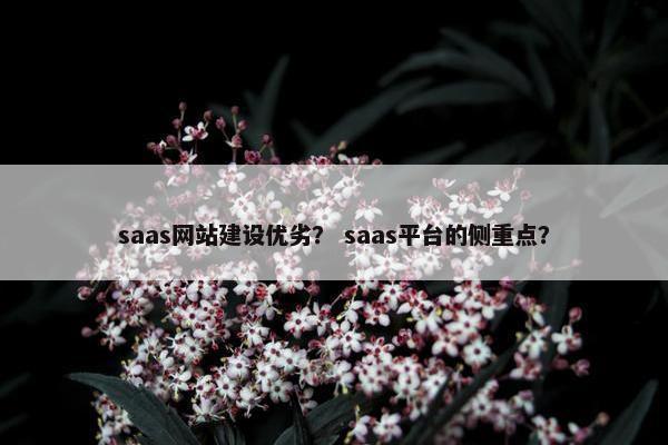 saas网站建设优劣？ saas平台的侧重点？