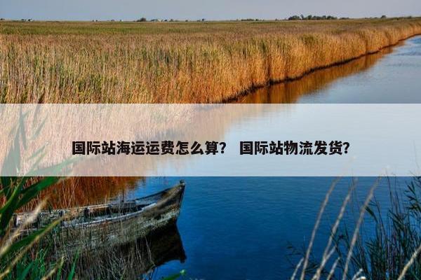 国际站海运运费怎么算？ 国际站物流发货？