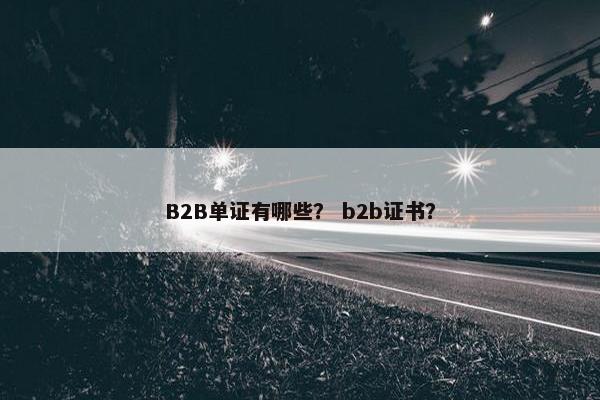 B2B单证有哪些？ b2b证书？