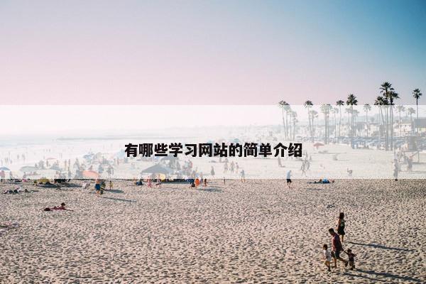有哪些学习网站的简单介绍