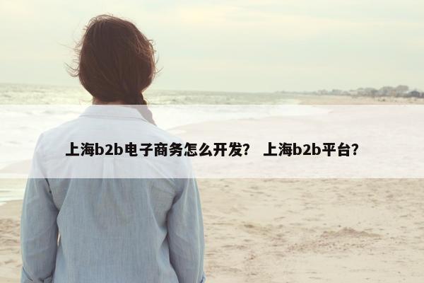 上海b2b电子商务怎么开发？ 上海b2b平台？