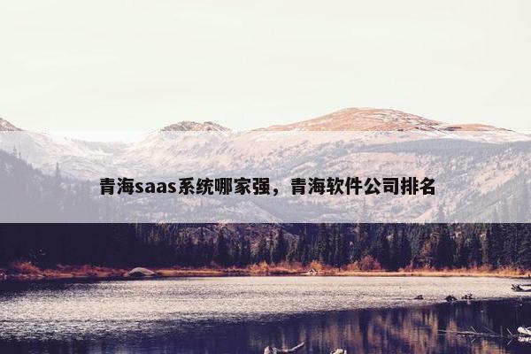 青海saas系统哪家强，青海软件公司排名