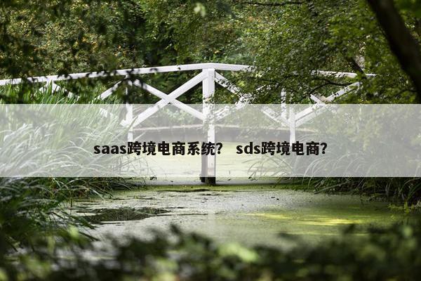 saas跨境电商系统？ sds跨境电商？