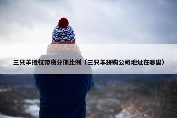 三只羊授权带货分佣比例（三只羊拼购公司地址在哪里）