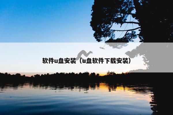 软件u盘安装（u盘软件下载安装）