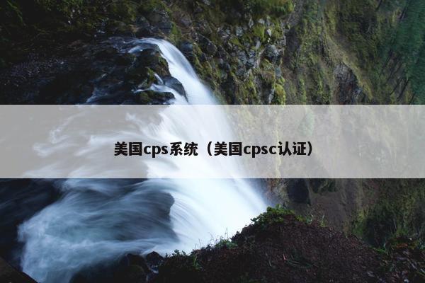 美国cps系统（美国cpsc认证）