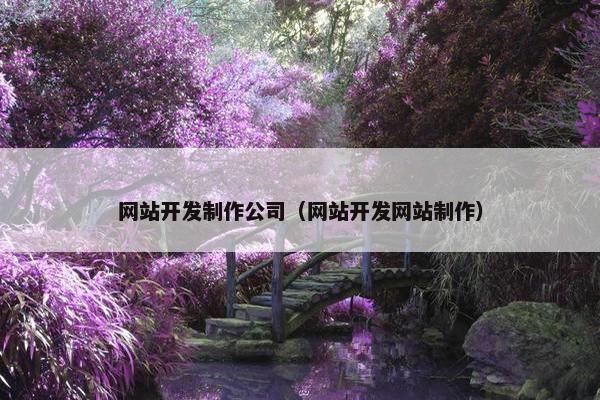 网站开发制作公司（网站开发网站制作）