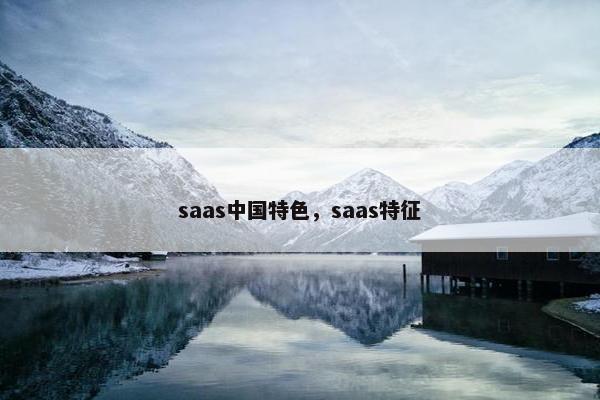 saas中国特色，saas特征