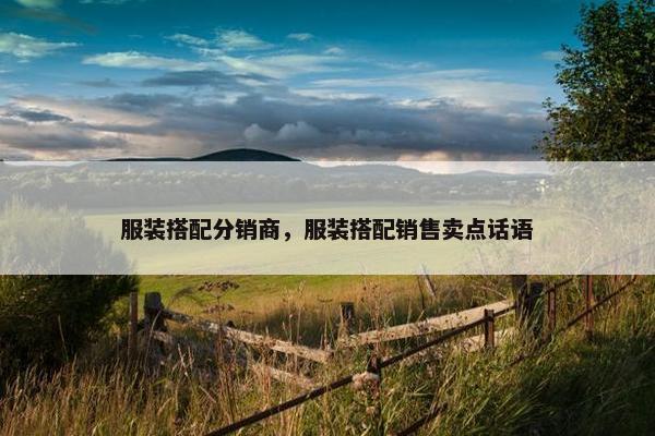 服装搭配分销商，服装搭配销售卖点话语