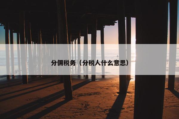 分佣税务（分税人什么意思）