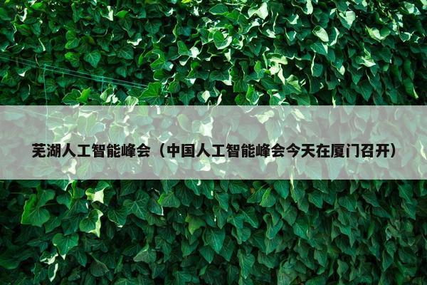 芜湖人工智能峰会（中国人工智能峰会今天在厦门召开）