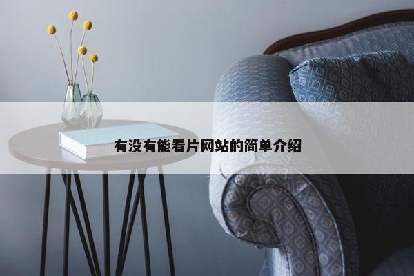 有没有能看片网站的简单介绍